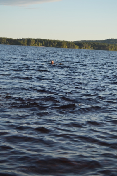 Helg på Finnskogen :) Mest i bilder – bilde 17
