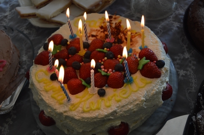 feiring i flere dager :) – bilde 14