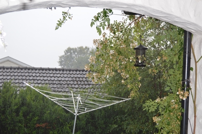 Det var en gang en sprinkelseng.. – bilde 10